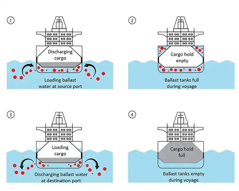 ballast water management