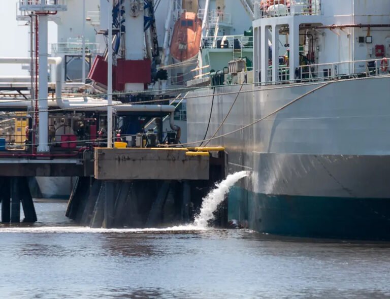 vgp & vida compliance services